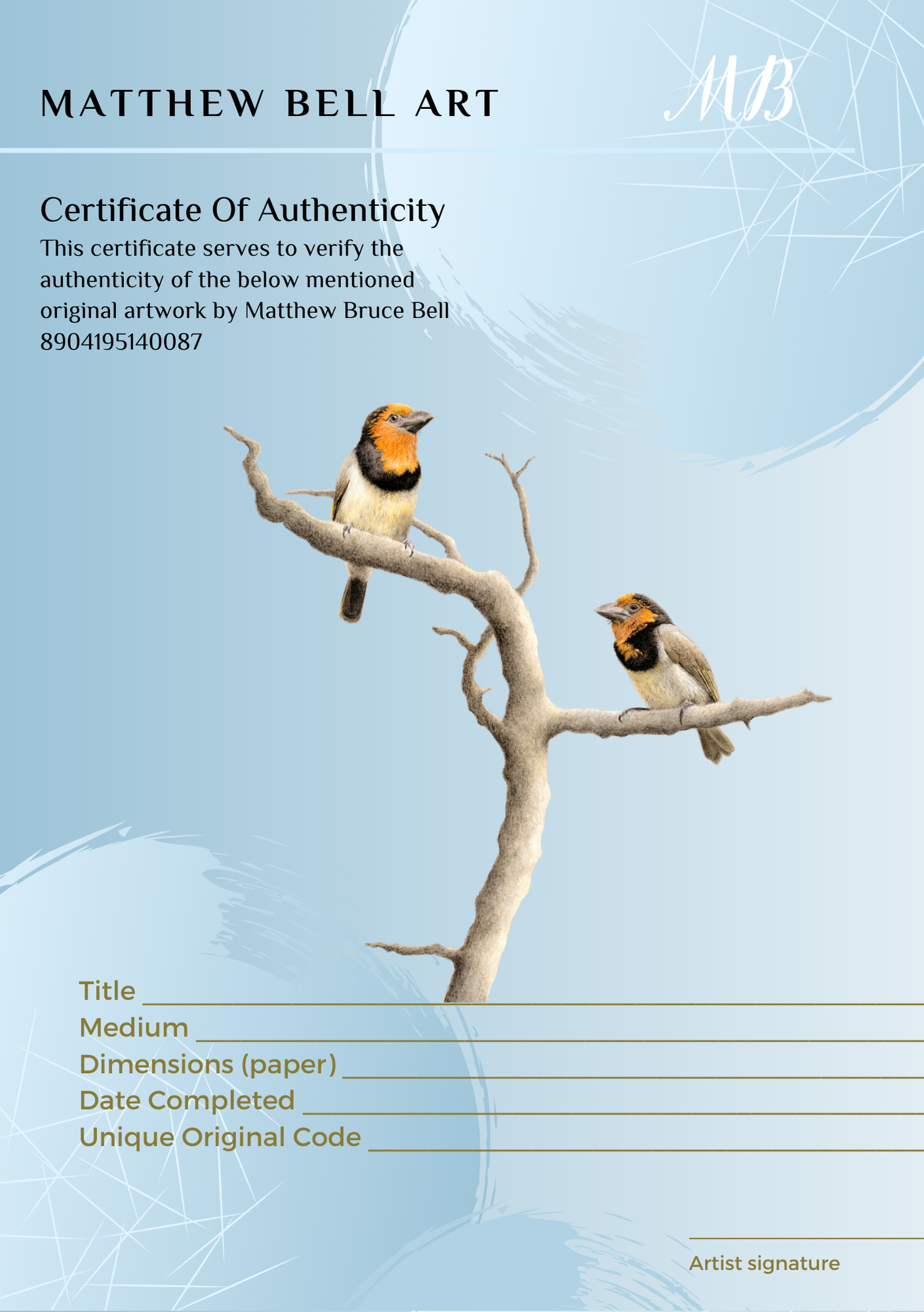 Black Collared Barbets original pencil artwork