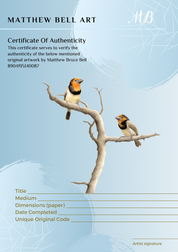 Black Collared Barbets original pencil artwork