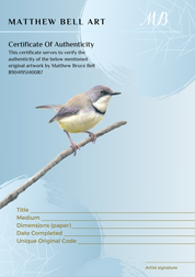 Bar Throated Apalis original pencil artwork