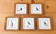 Martial Eagle, Tawny Eagle, Bateleur Eagle, African Fish Eagle, Osprey artworks with natural kiaat wood frame