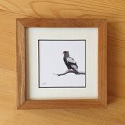 Martial Eagle, Tawny Eagle, Bateleur Eagle, African Fish Eagle, Osprey artworks with natural kiaat wood frame