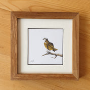 Martial Eagle, Tawny Eagle, Bateleur Eagle, African Fish Eagle, Osprey artworks with natural kiaat wood frame