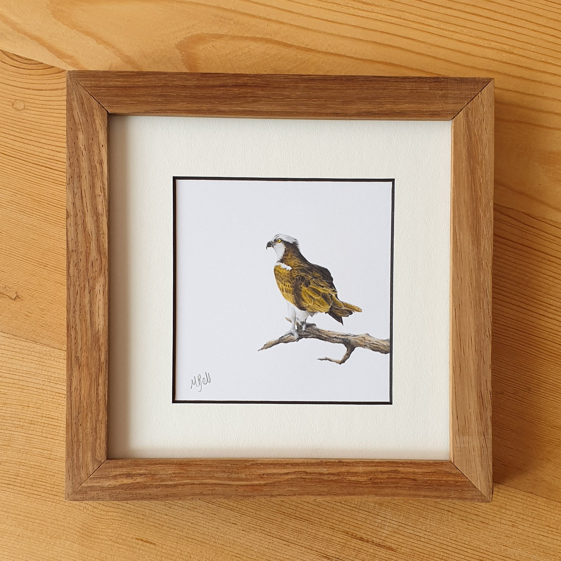 Martial Eagle, Tawny Eagle, Bateleur Eagle, African Fish Eagle, Osprey artworks with natural kiaat wood frame