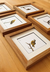 Martial Eagle, Tawny Eagle, Bateleur Eagle, African Fish Eagle, Osprey artworks with natural kiaat wood frame
