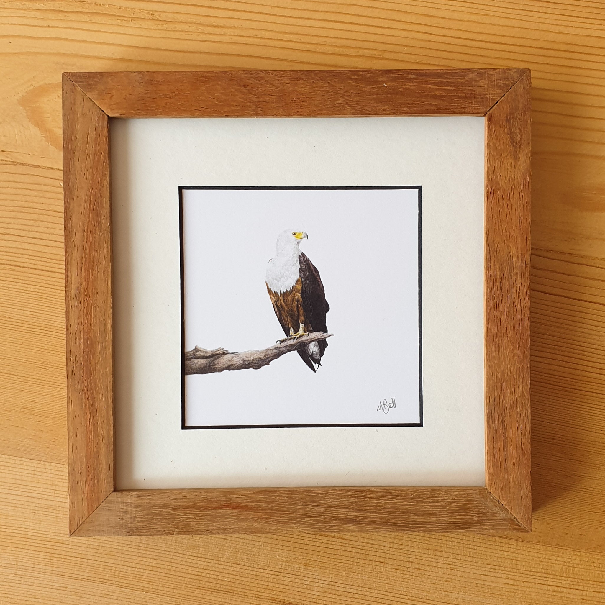 Martial Eagle, Tawny Eagle, Bateleur Eagle, African Fish Eagle, Osprey artworks with natural kiaat wood frame