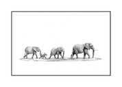 Set of 2 Elephant Family prints with synthetic black frames