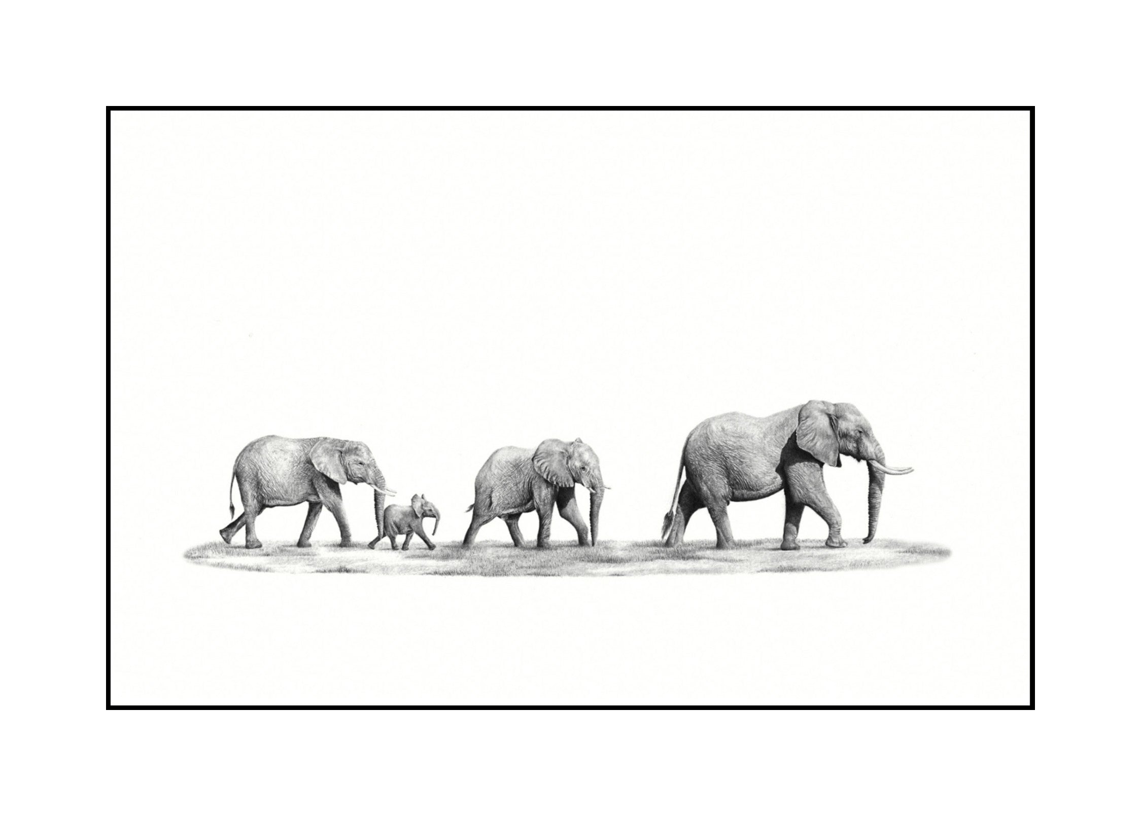Set of 2 Elephant Family prints with synthetic black frames