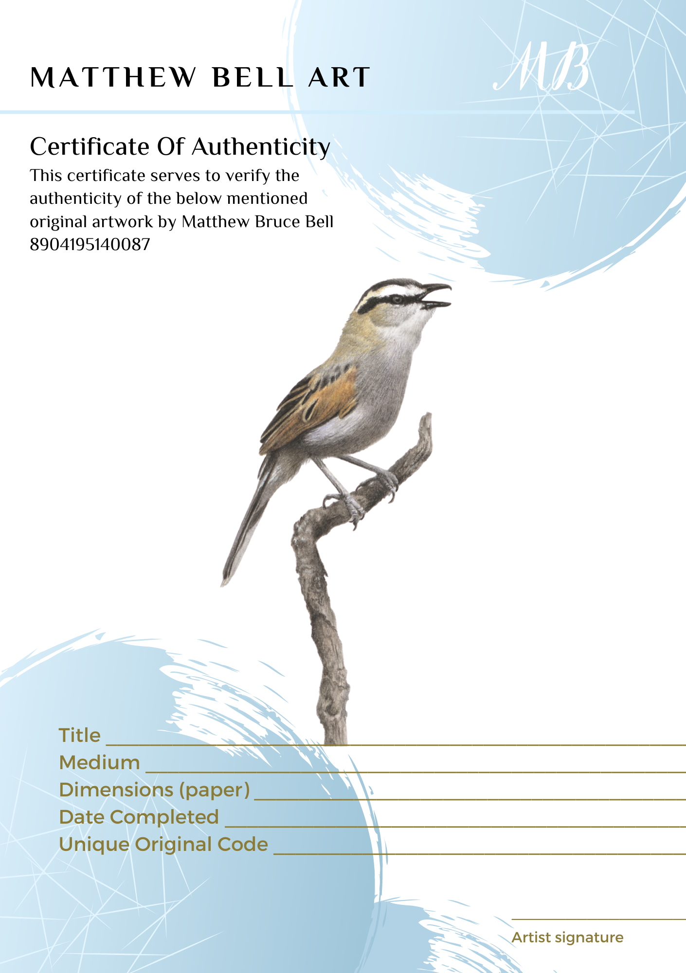 The original Black Crowned Tchagra bird drawing by South African wildlife pencil artist Matthew Bell