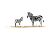 Mother and baby zebra artwork in pencil