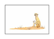 Meerkats 3 - The Original - Framed - 48 x 36cm - Matthew Bell Wildlife Art
