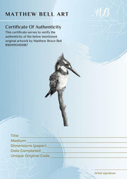 Pied Kingfisher 2 - The Original - Framed - 35 x 30cm - Matthew Bell Wildlife Art