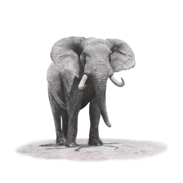 Working with graphite pencils