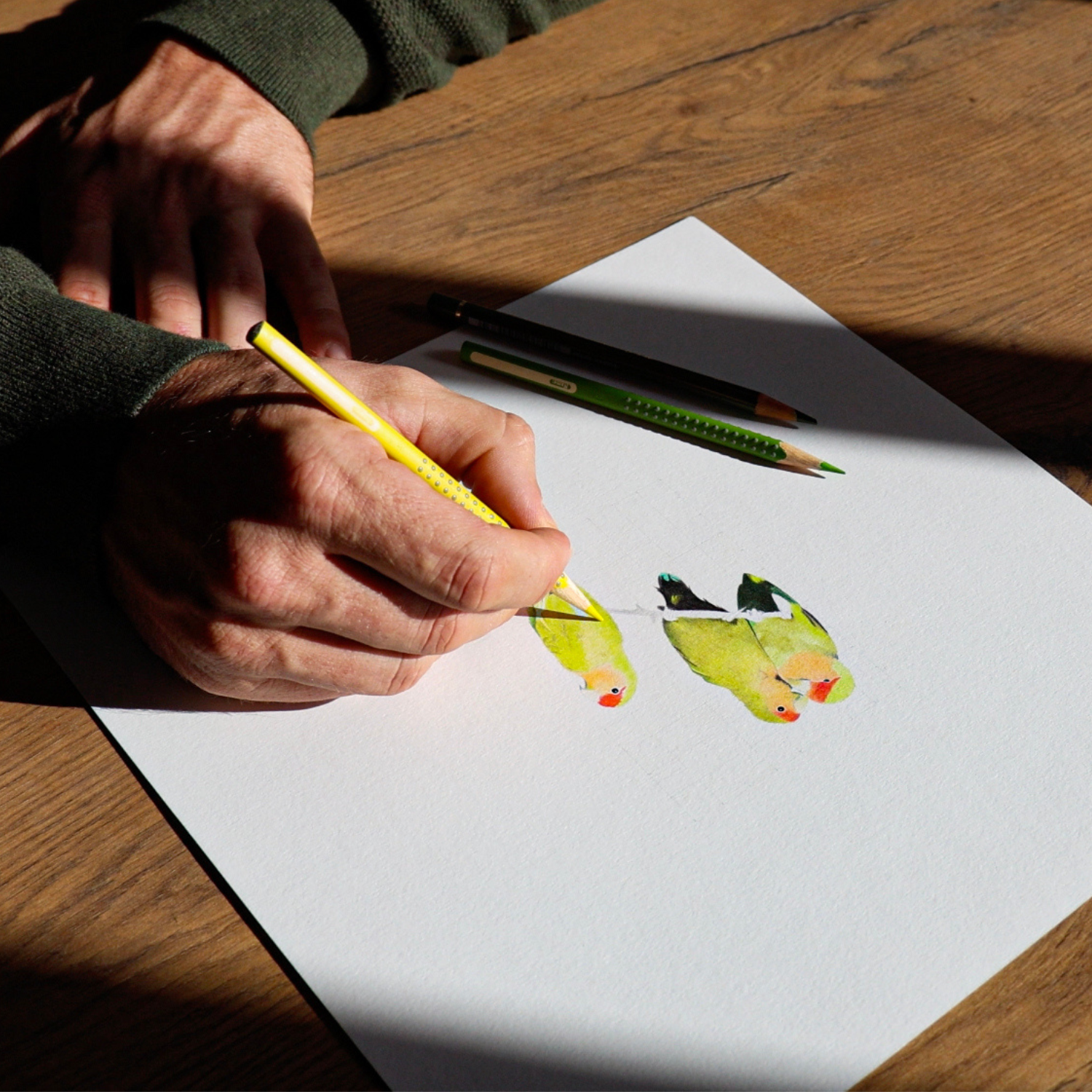 Drawing Southern Africa's Birds