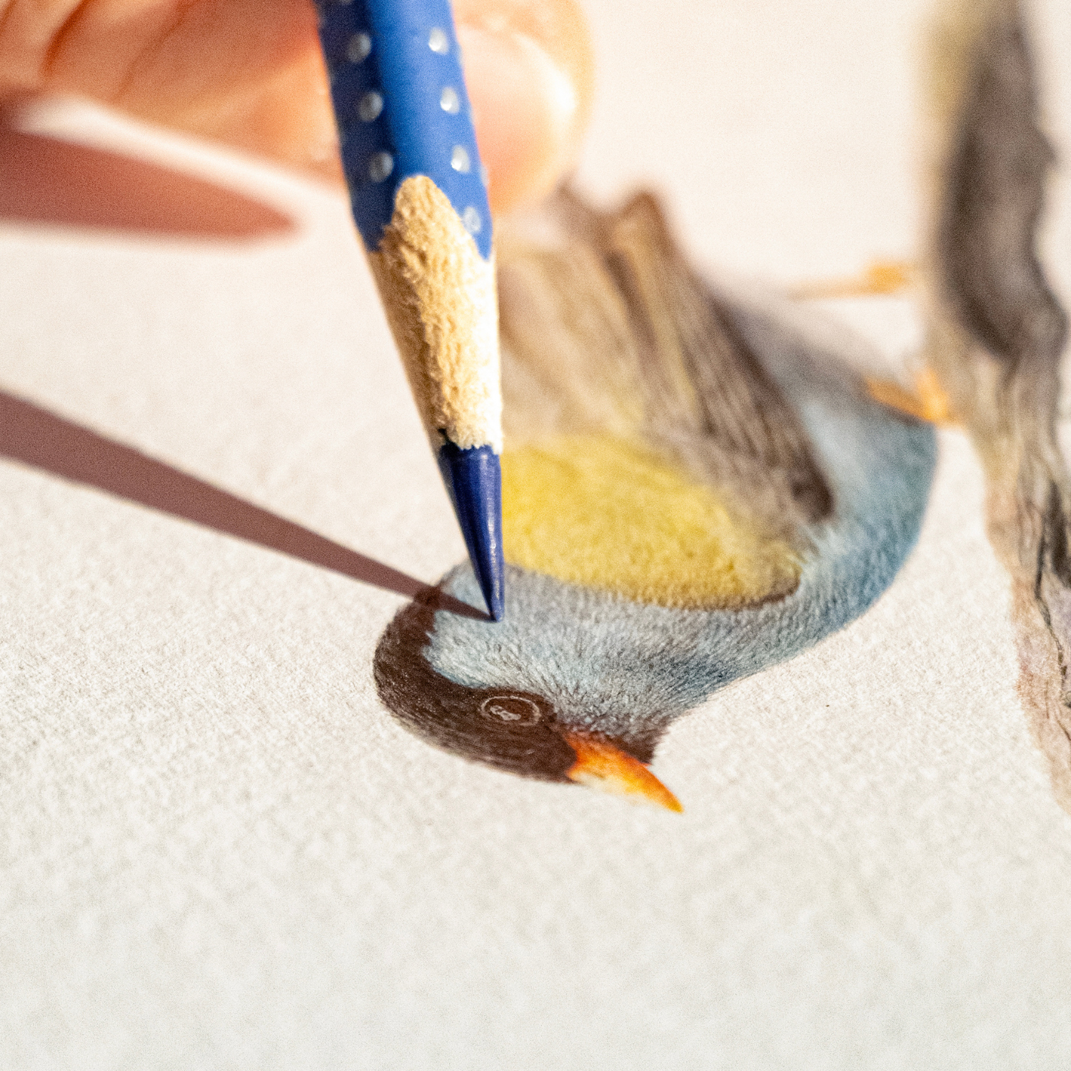 The Art Of Realism