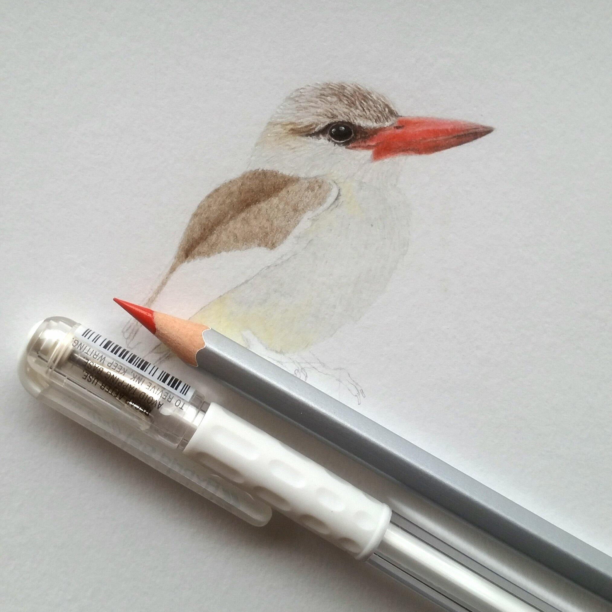 The Wonders Of A Milky Pen - Matthew Bell Wildlife Art