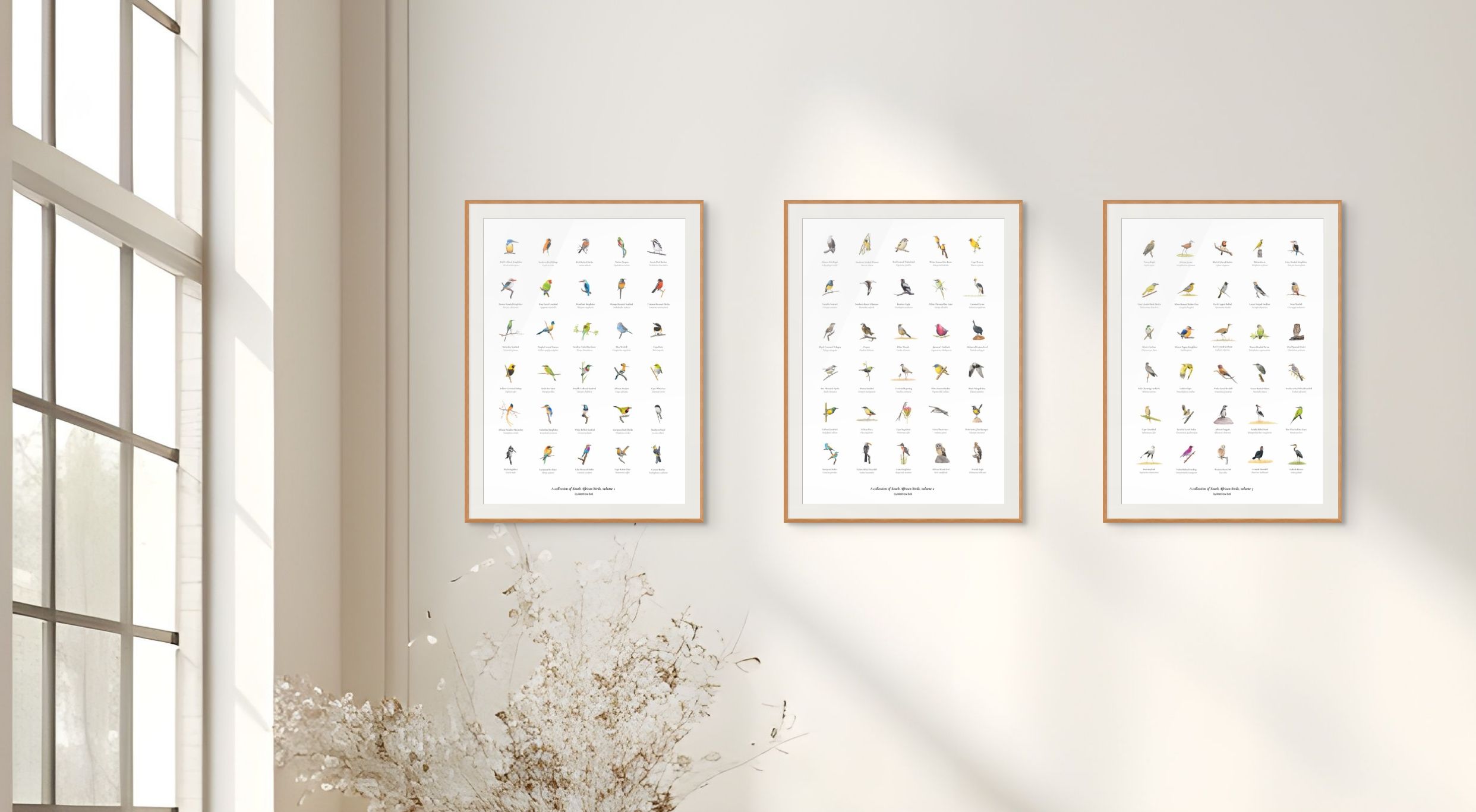 Fine art posters of South African wildlife and birds loose or mounted and framed