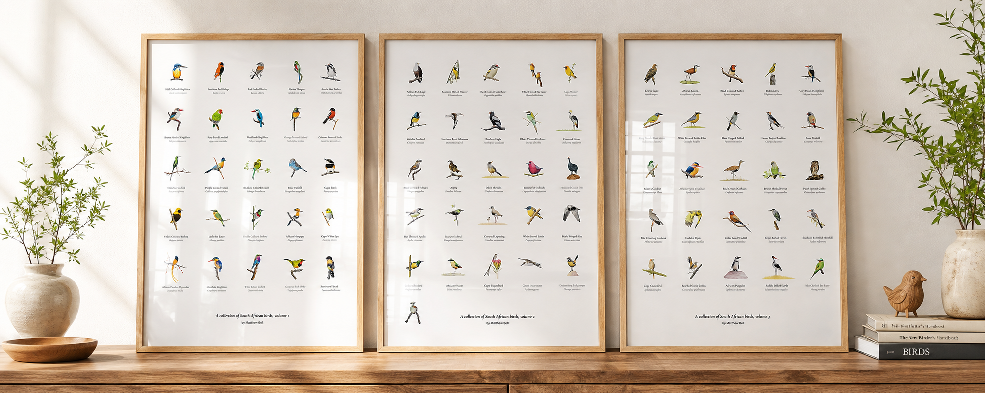 Fine art posters of South African wildlife and birds loose or mounted and framed