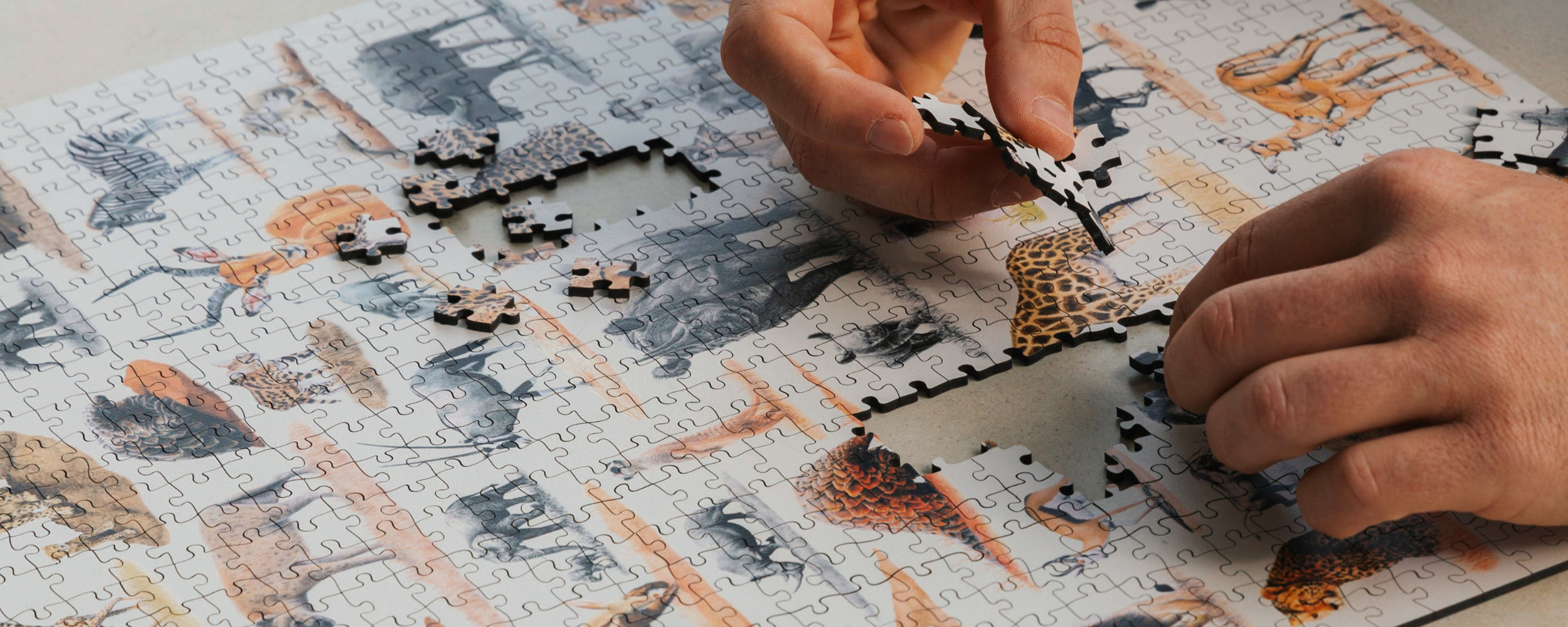 Wooden Puzzles
