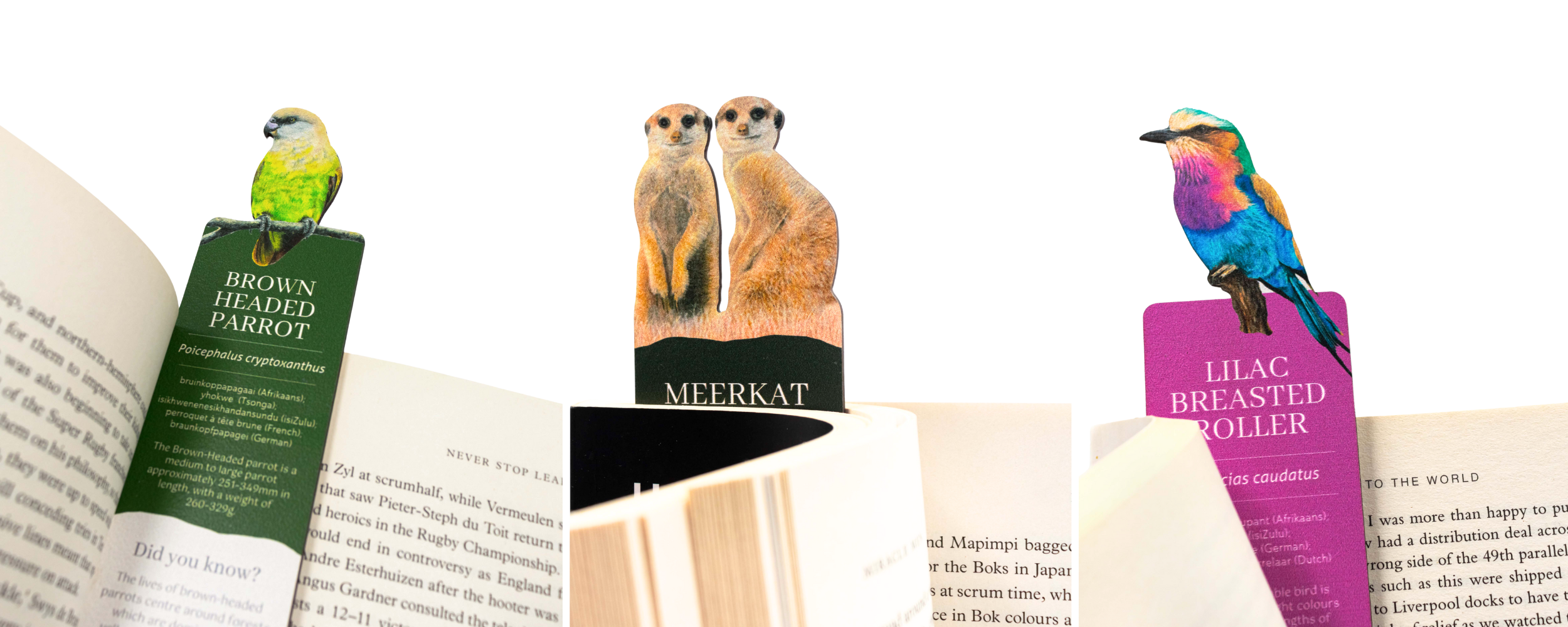 Wooden Bookmarks