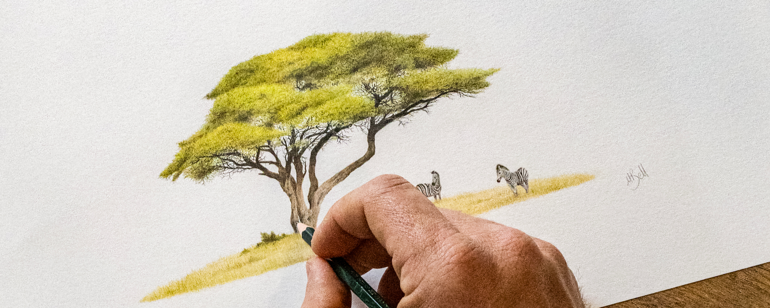 Mounted Prints - Animals & Trees