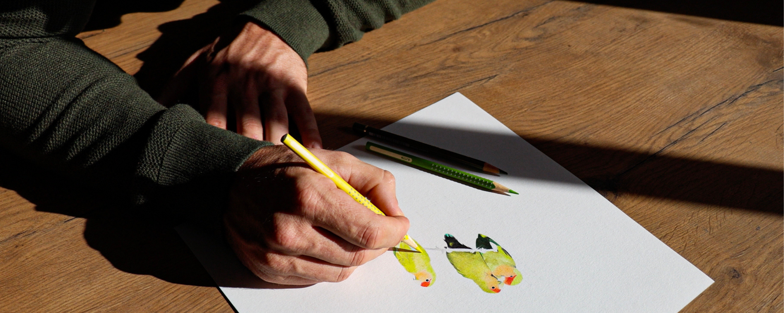 Mounted Prints - Birds