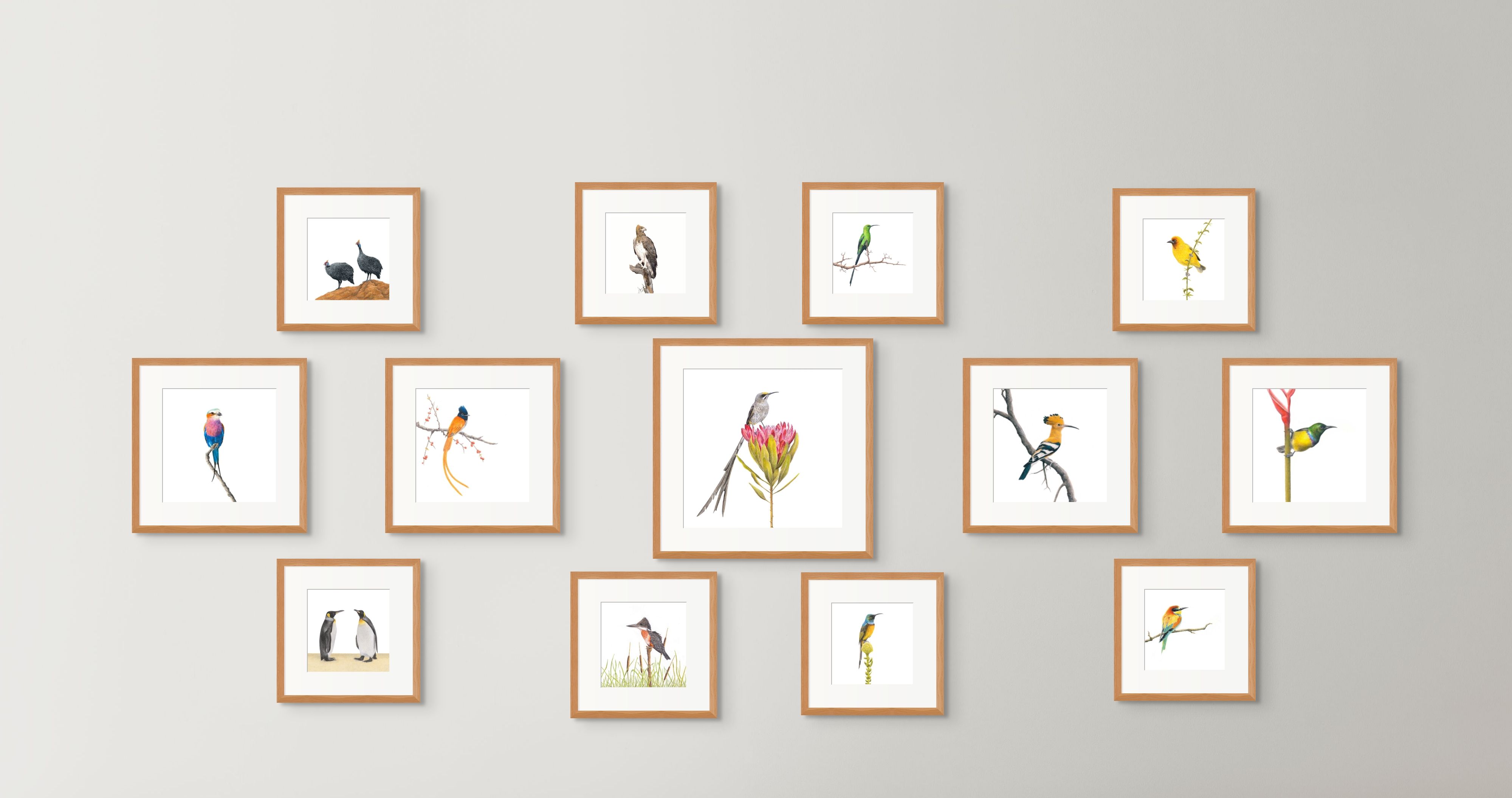 Mounted Prints - Birds