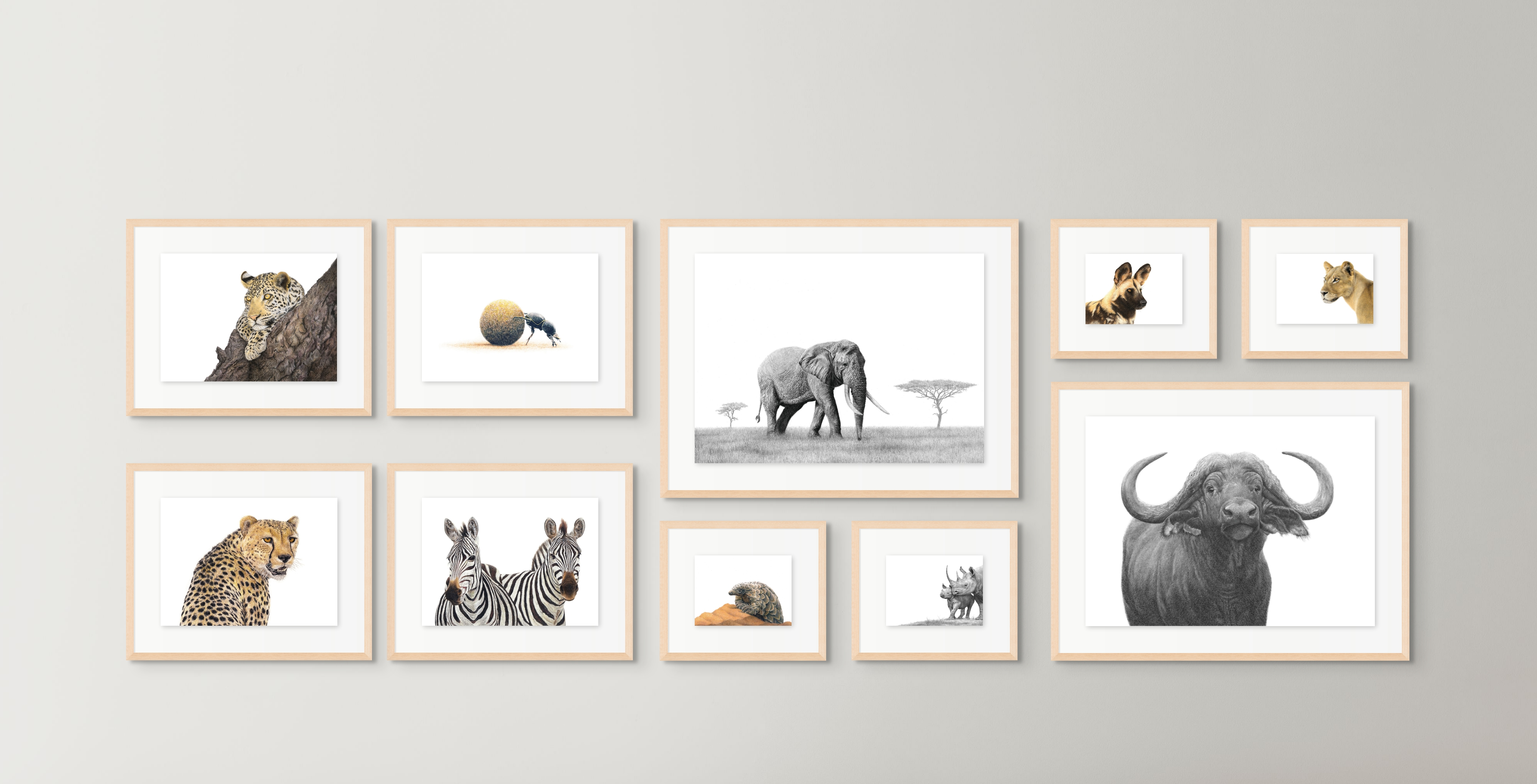 African wildlife art prints and originals by number one best selling artist Matthew Bell