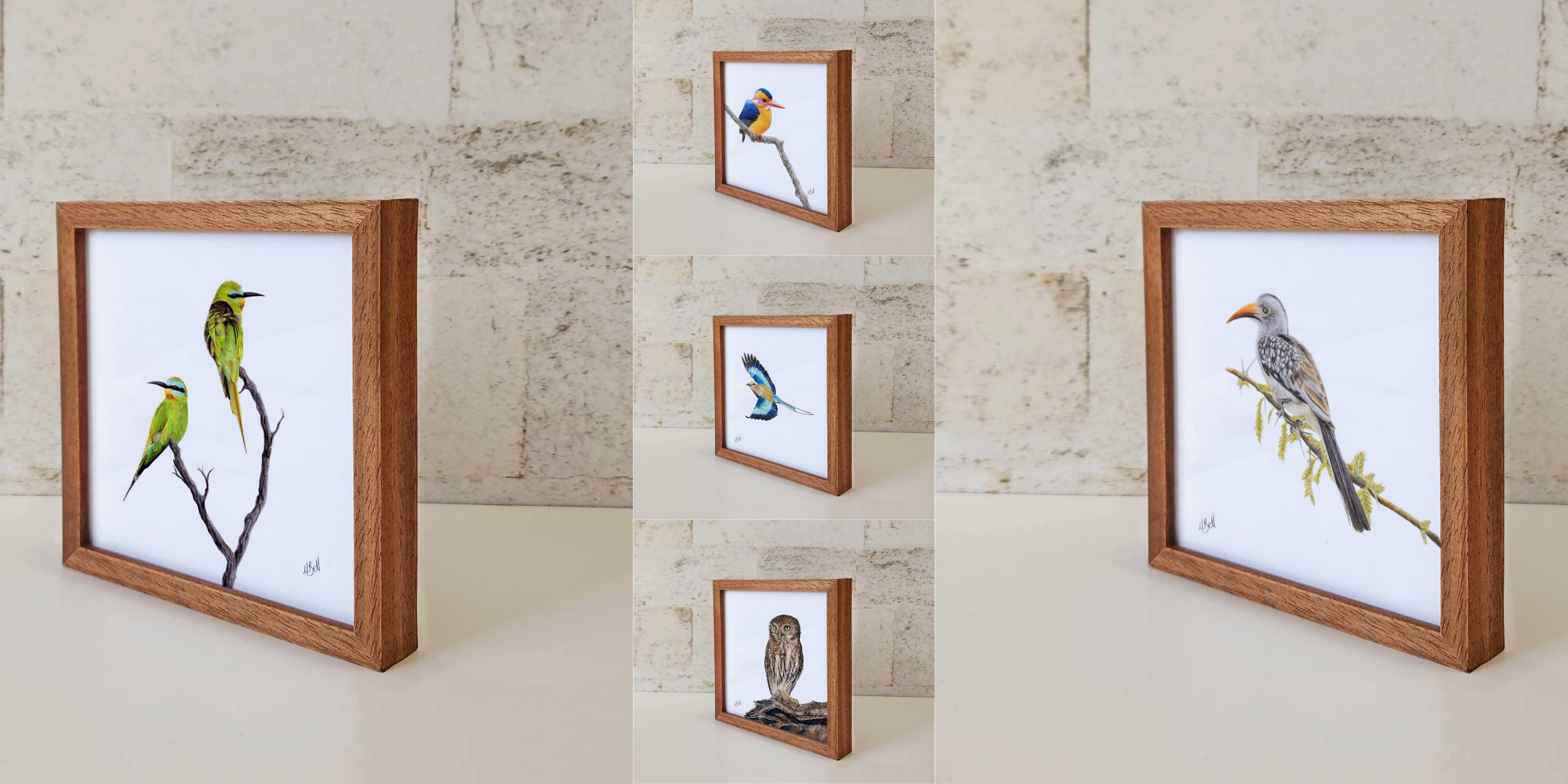 The Miniature Framed Bird Prints Collection