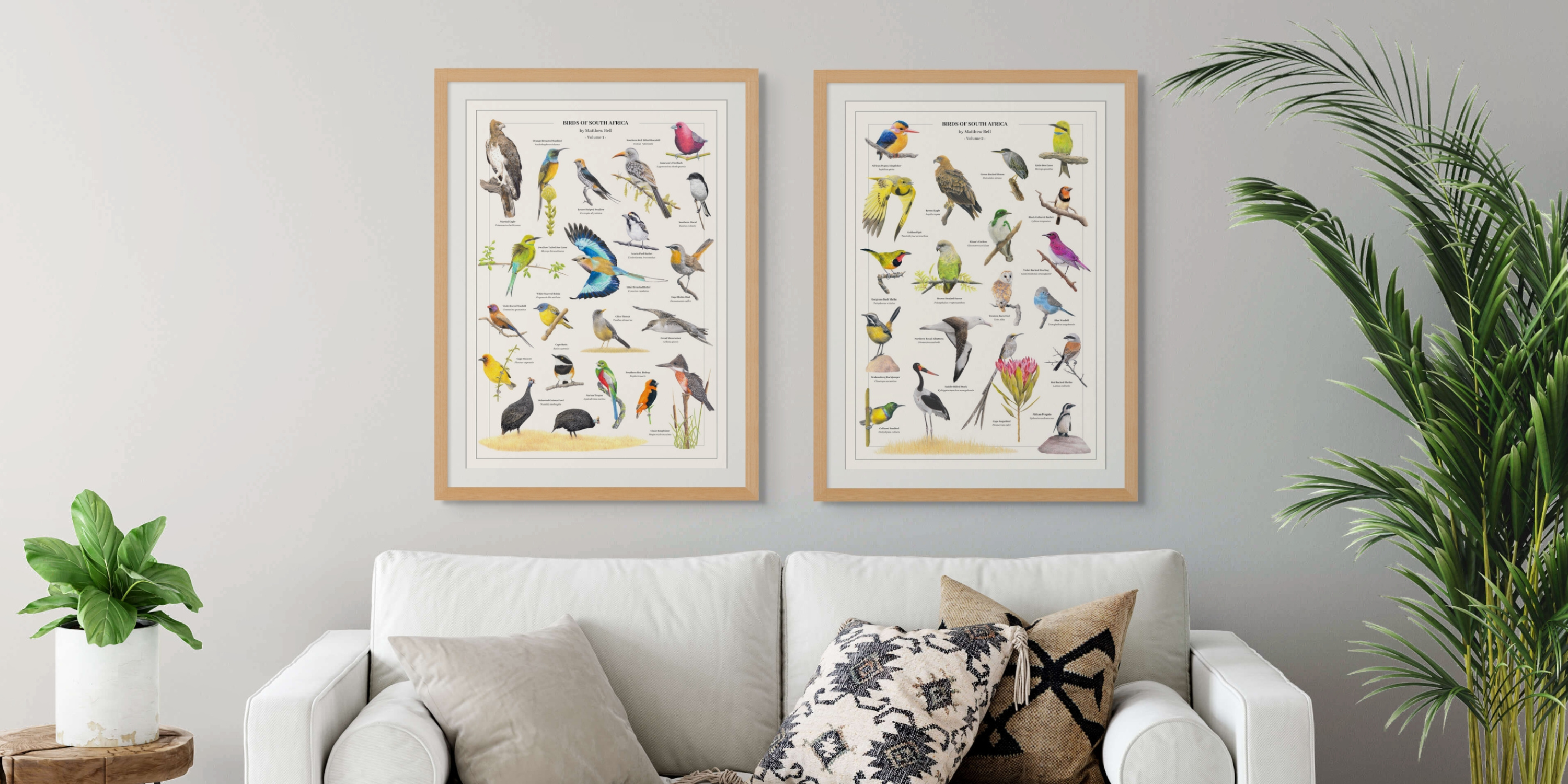 Fine art posters of South African wildlife and birds loose or mounted and framed