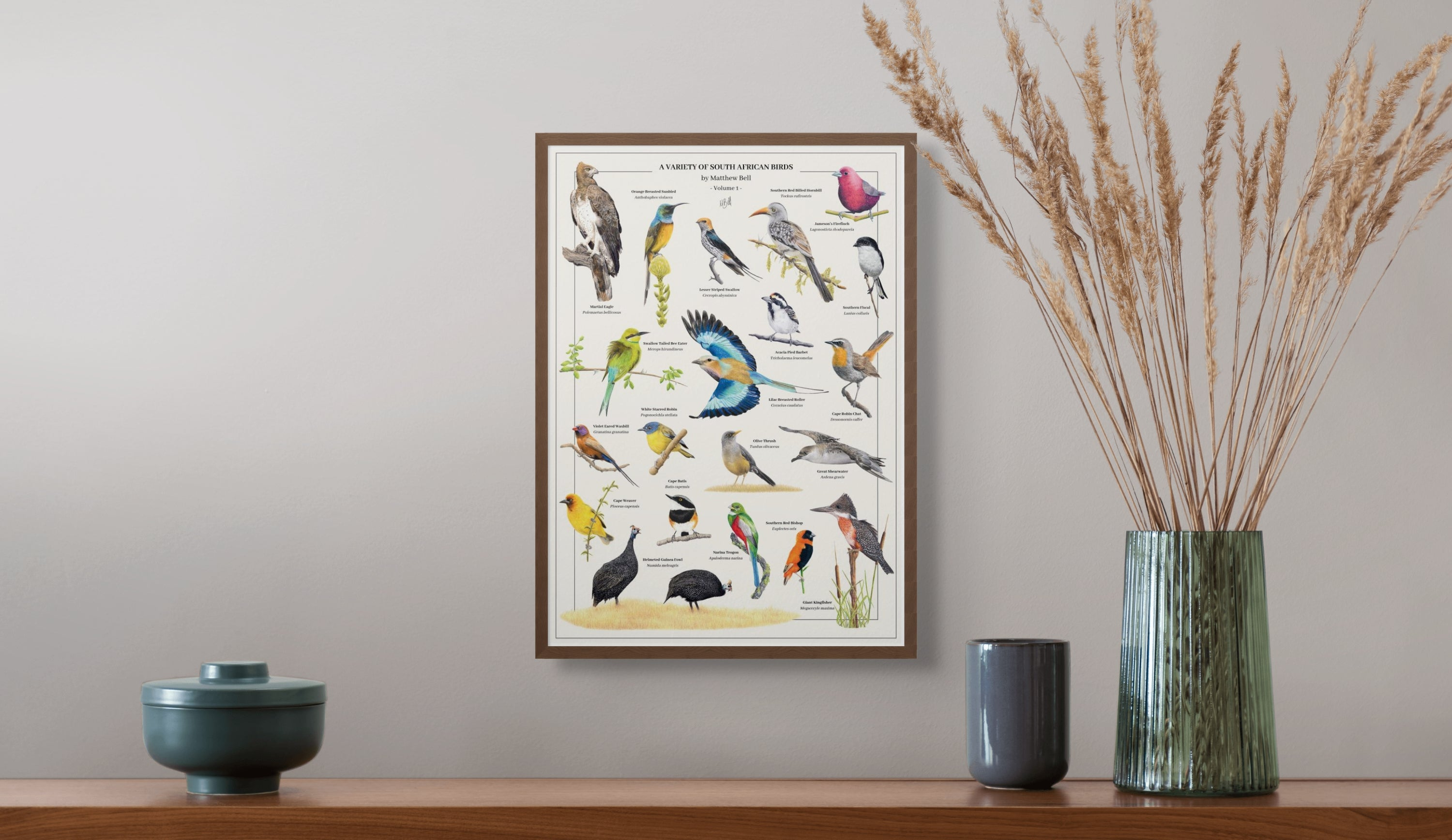Fine art posters of South African wildlife and birds loose or mounted and framed