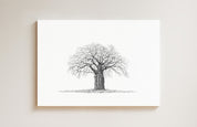 African Baobab Tree drawing on canvas by South African wildlife artist Matthew Bell