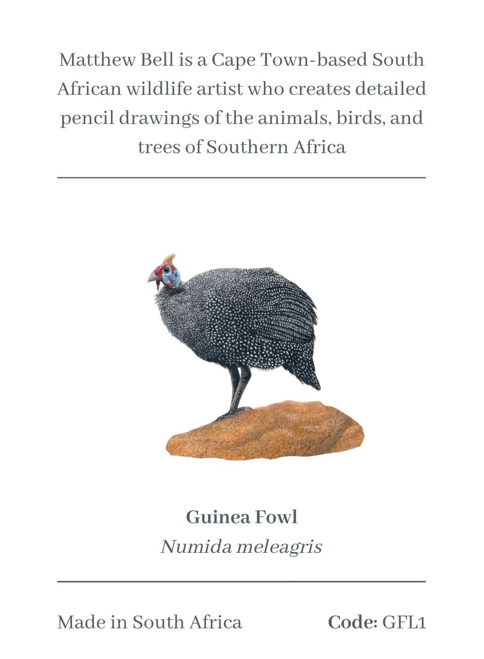 Guinea Fowl Magnet - GFL1