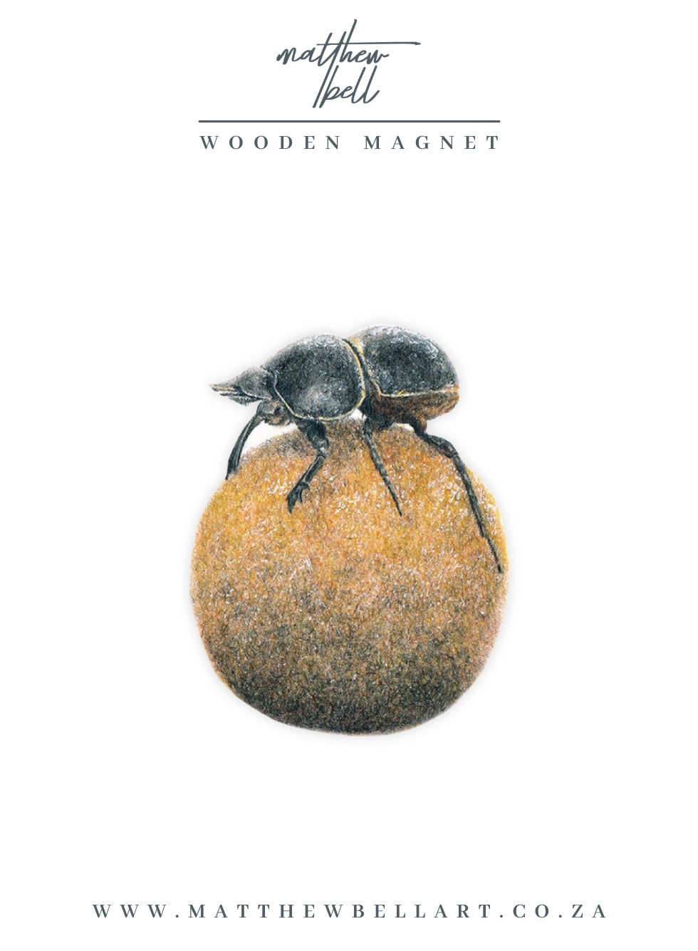 Dung Beetle Magnet - DB3