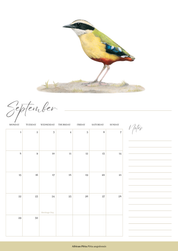 2025 premium quality South African birds hanging wall calendar showing wildlife artwork by artist Matthew Bell including Red Billed Hornbill, Lesser Striped Swallow, Saddle Billed Stork, Crowned Lapwing, Violet Backed Starling, Grey Headed Bush Shrike, African Pitta, Marico Sunbird, Blue Cheeked Bee Eater, African Pygmy Kingfisher, Cape Weaver, Wood Owl