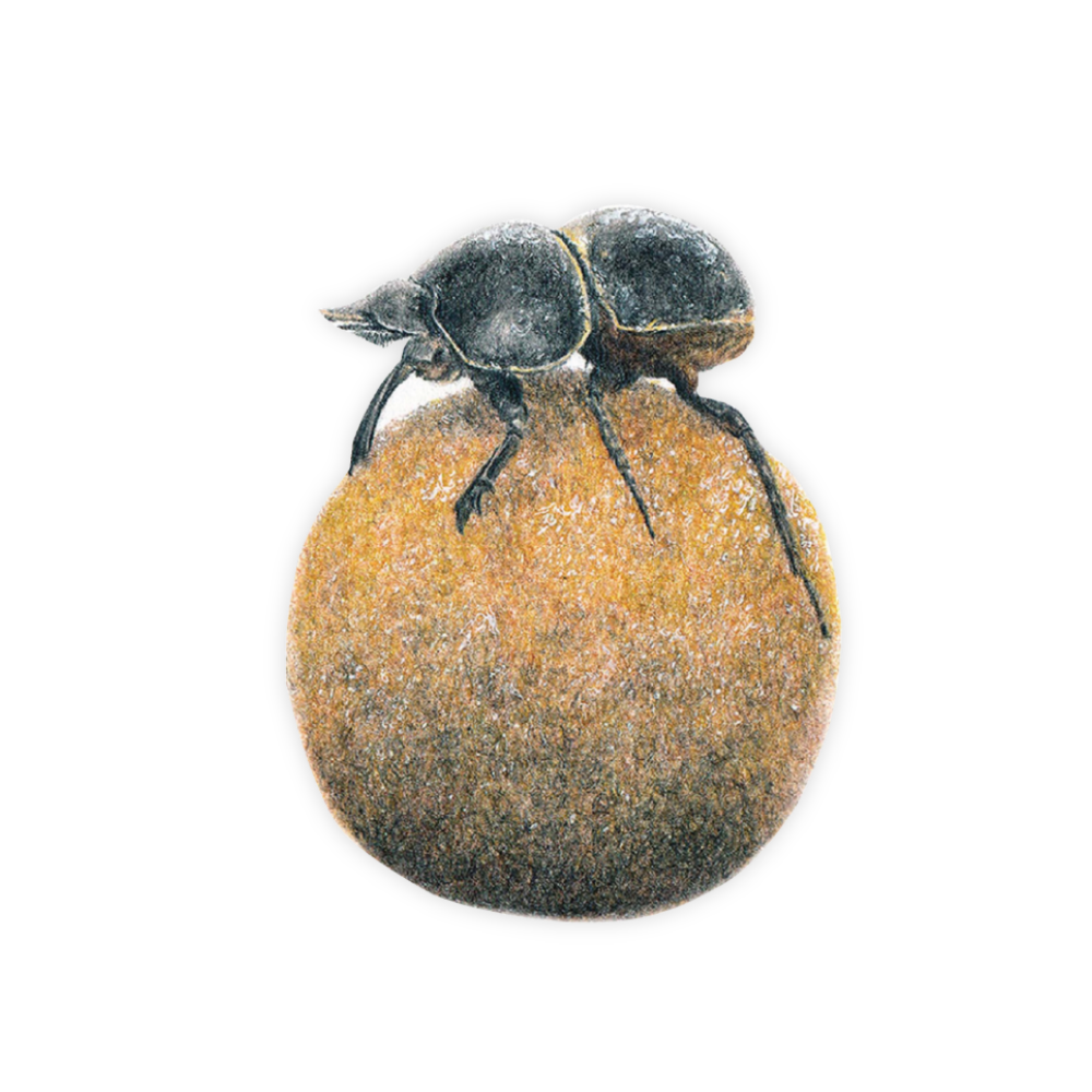 10_54553f81-691c-4743-8276-4708ef57be89.png