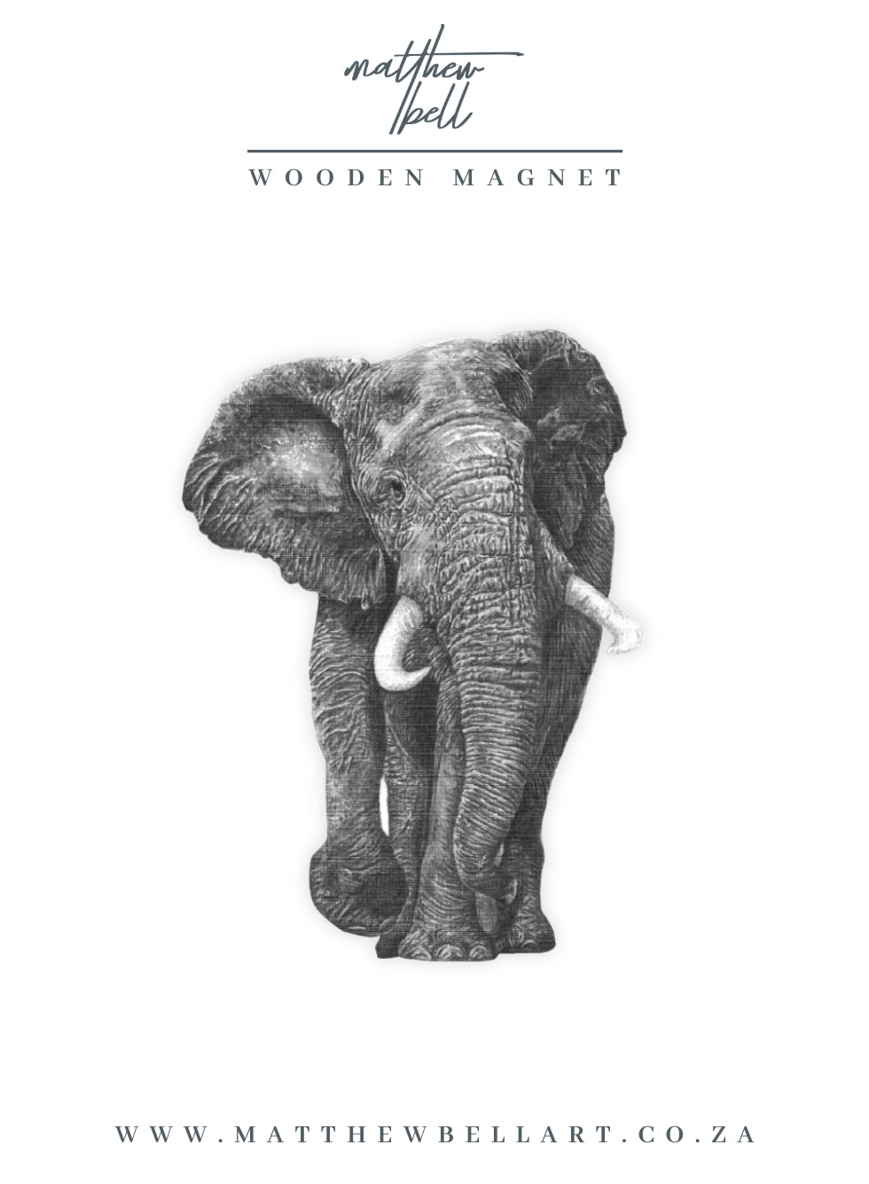 Elephant Magnet - E1
