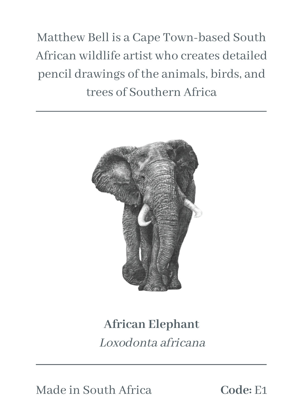 Elephant Magnet - E1