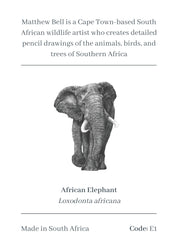 Elephant Magnet - E1