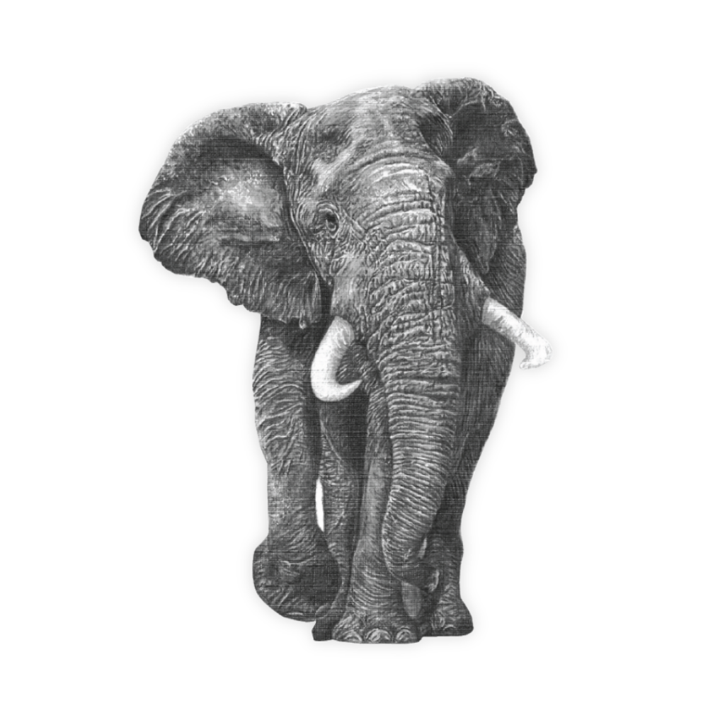 11_9a2eeafc-81b3-45c0-b33f-349e8394b9e6.png