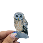 African Wood Owl Magnet - AWO