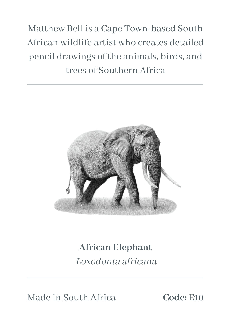 Elephant Magnet - E10
