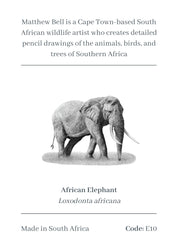 Elephant Magnet - E10