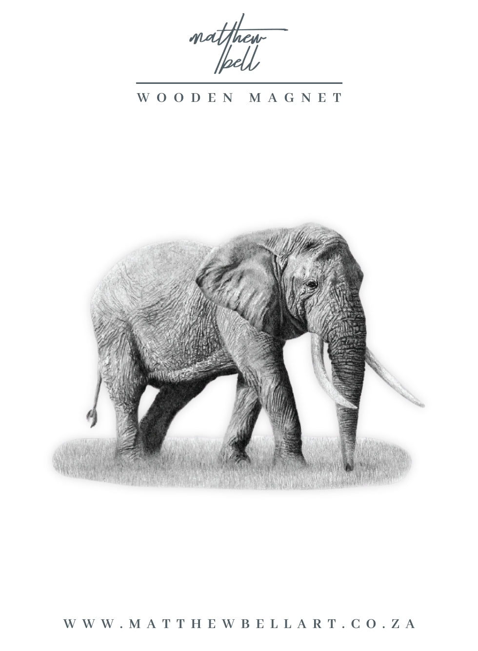 Elephant Magnet - E10