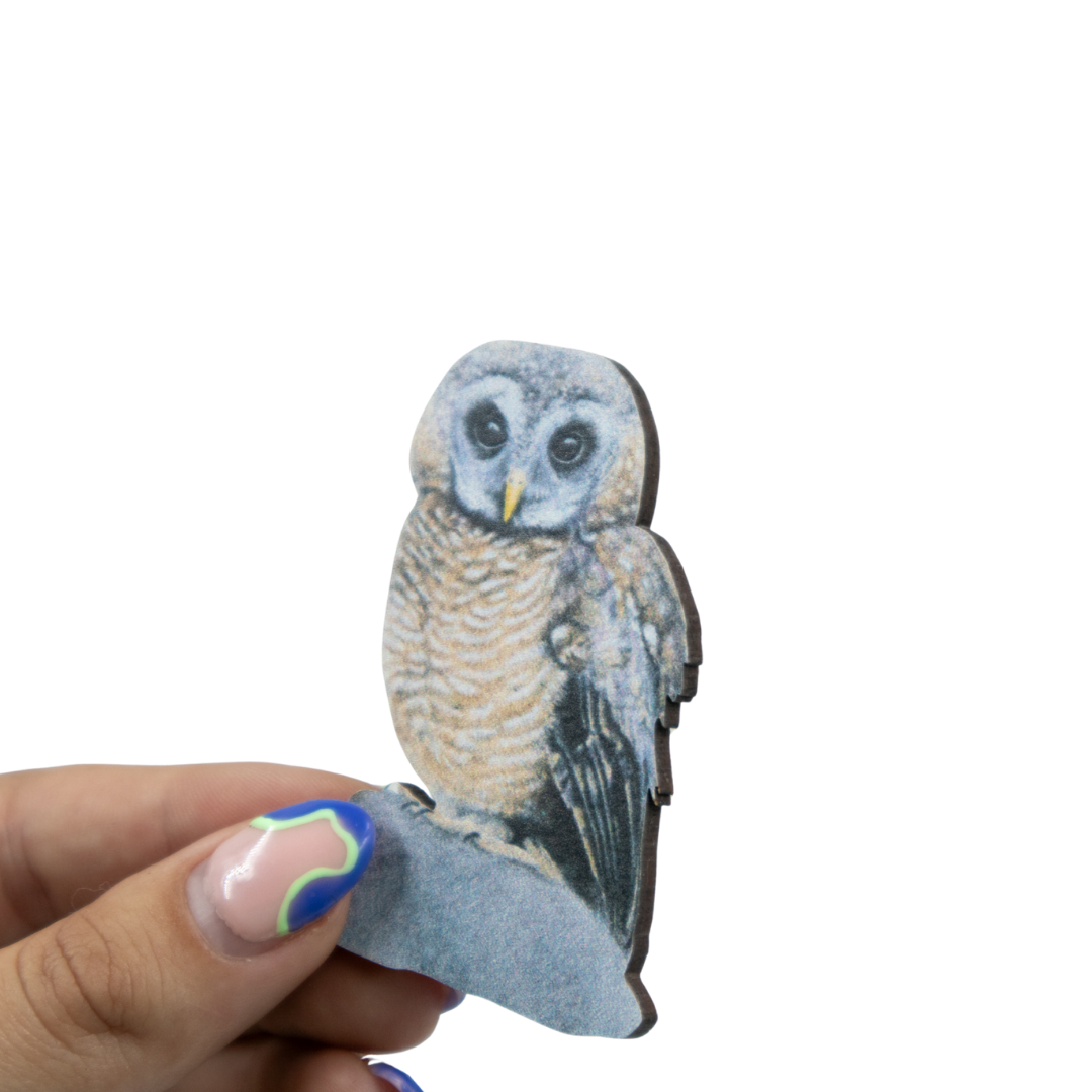 African Wood Owl Magnet - AWO