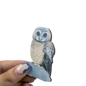 African Wood Owl Magnet - AWO