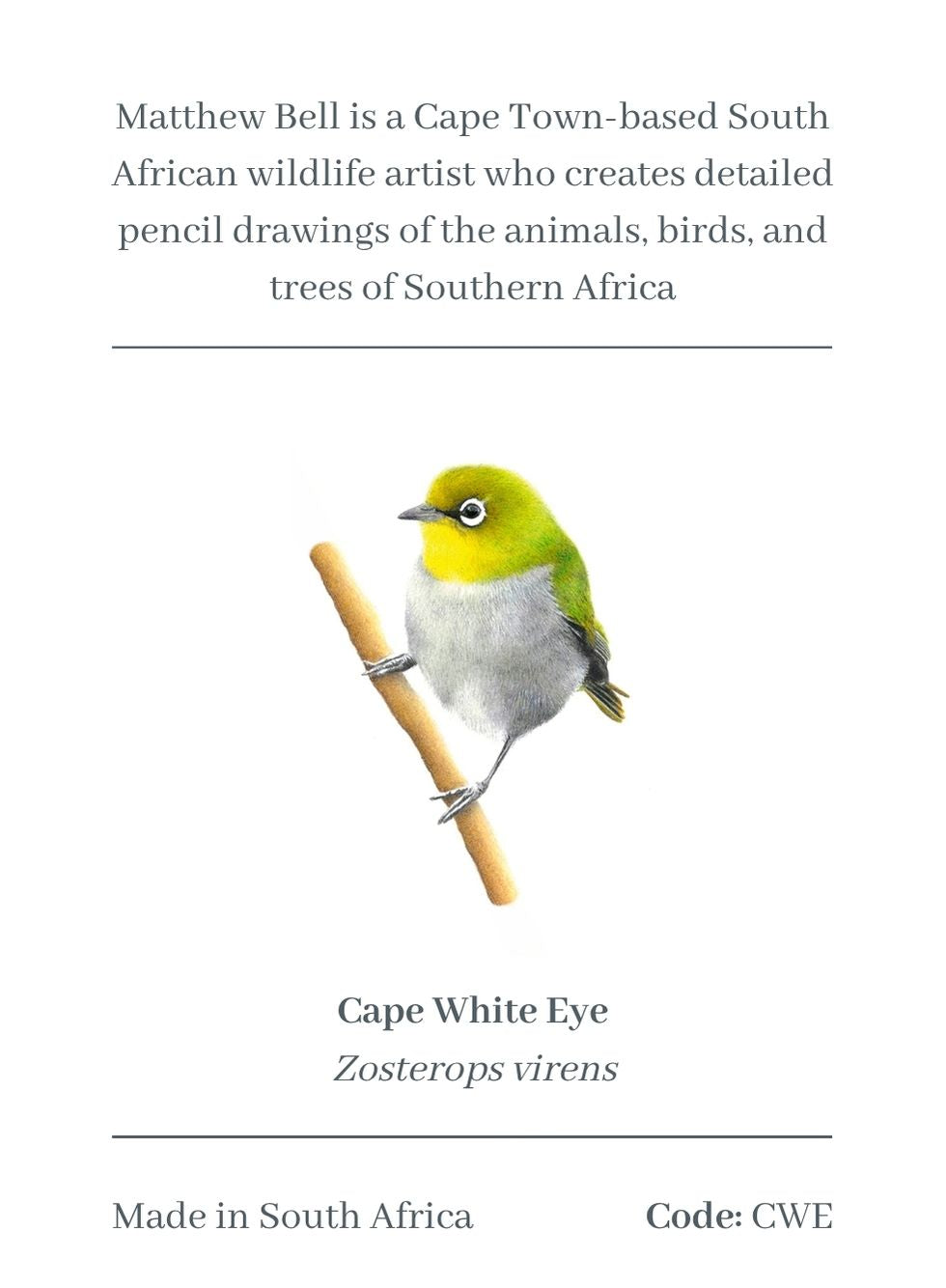 Cape White Eye Magnet - CWE