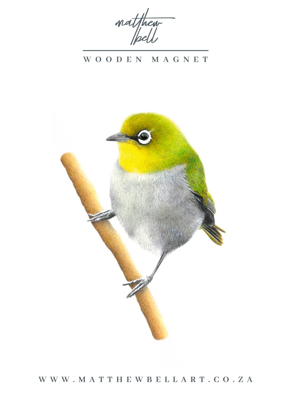 Cape White Eye Magnet - CWE