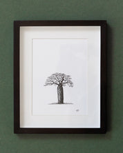 African Baobab Trees - Original Pen Drawings