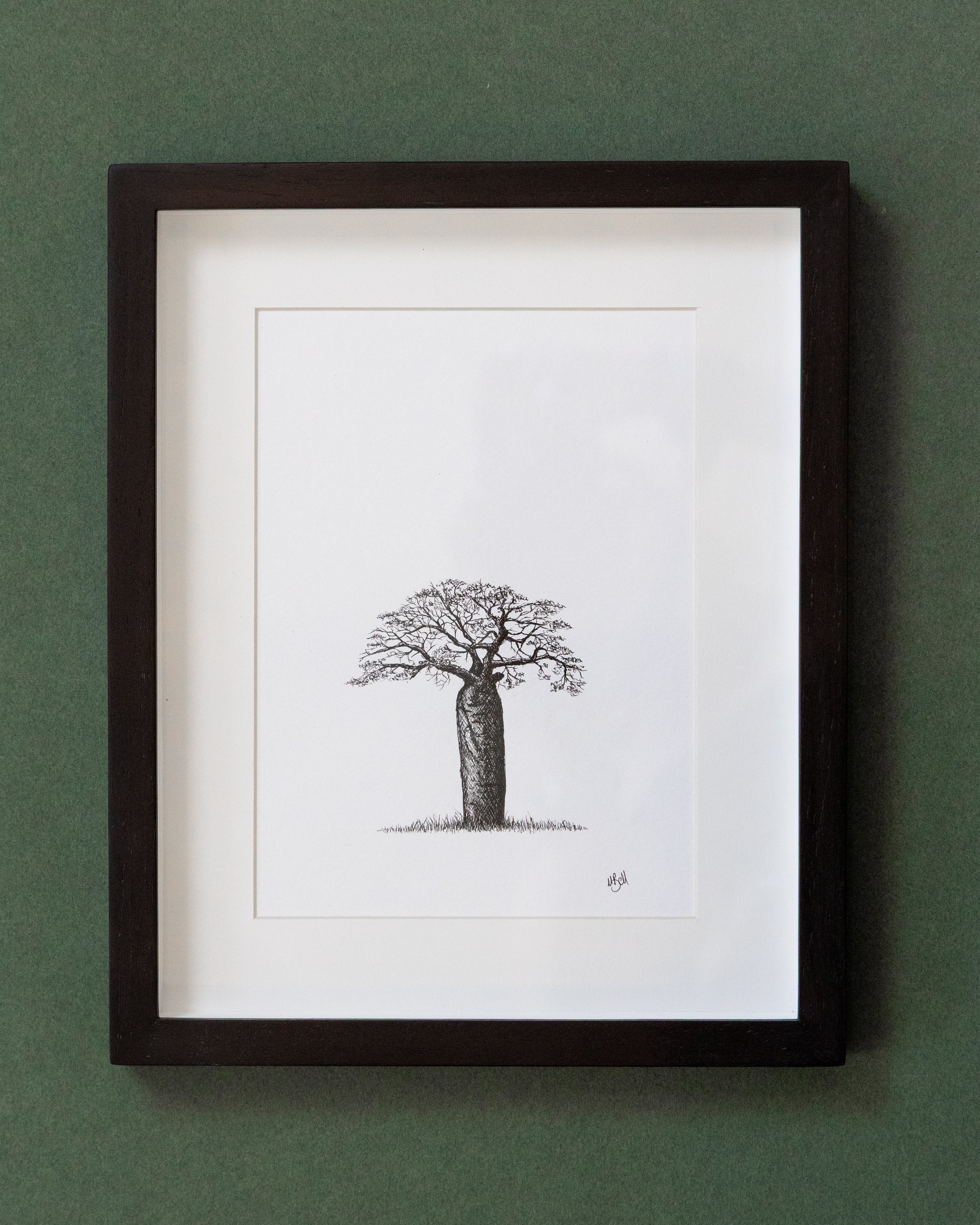 African Baobab Trees - Original Pen Drawings