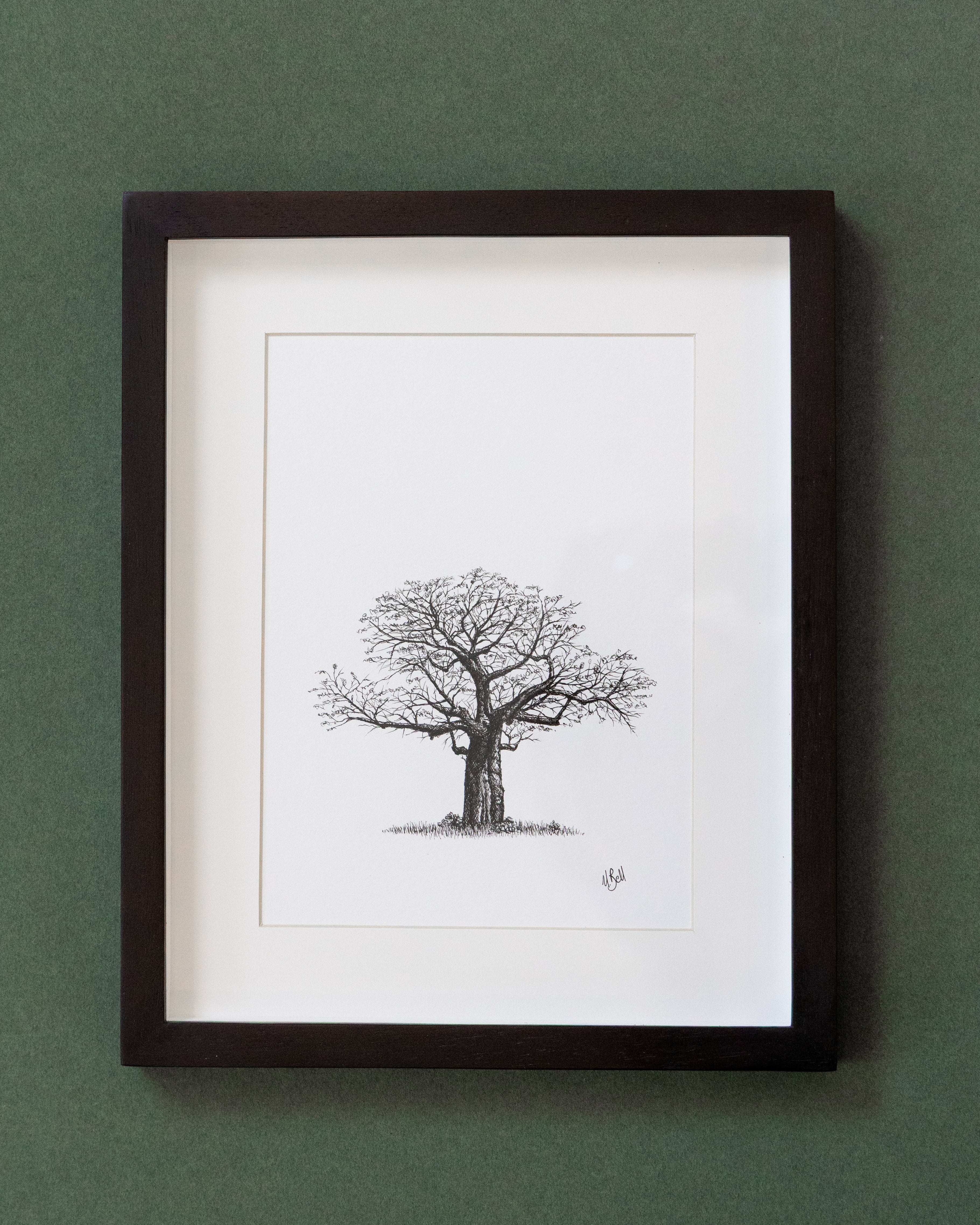 African Baobab Trees - Original Pen Drawings